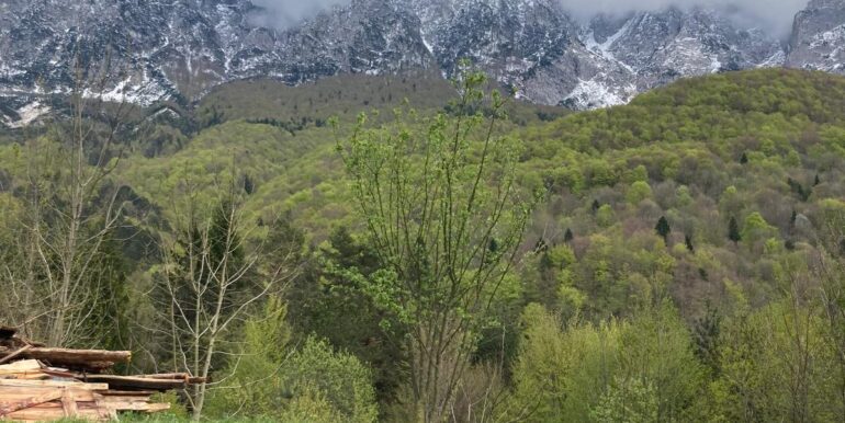 Stavolo in pietra di 55mq da ristrutturare con vista panoramica sulle montagne