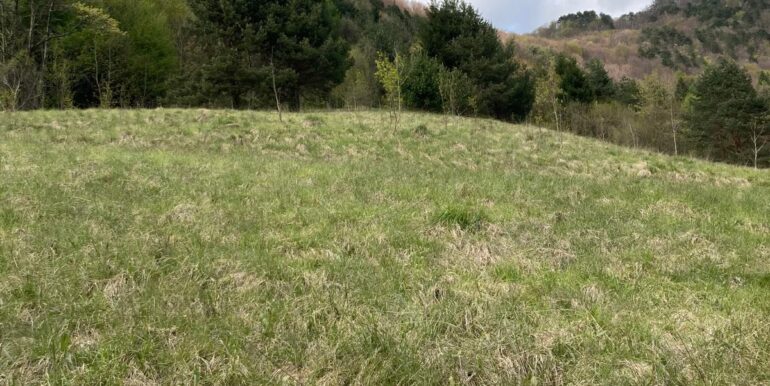 Stavolo in pietra di 55mq da ristrutturare con vista panoramica sulle montagne